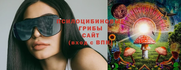 мдпв Бугульма