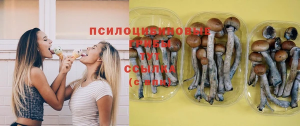 альфа пвп Бородино