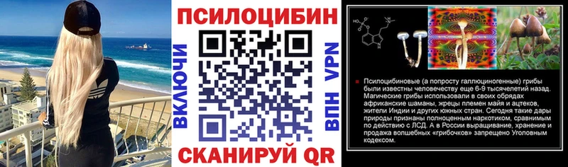 Купить где  Чернушка  Галлюциногенные грибы Magic Shrooms 
